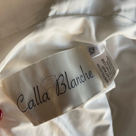 Calle Blanche Lennon Strapless Belted Wedding Gown Altered - Picture 9 of 13